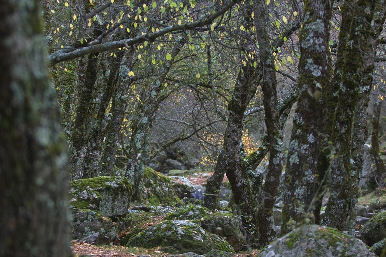 Hostel El Lago, Caceres Jaraiz de la Vera Exteriör bild